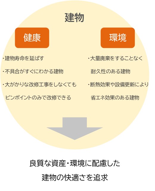 REBORN+