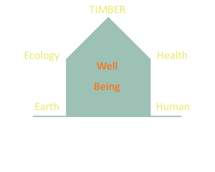 TIMBER+